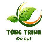 Đà Lạt Tùng Trinh