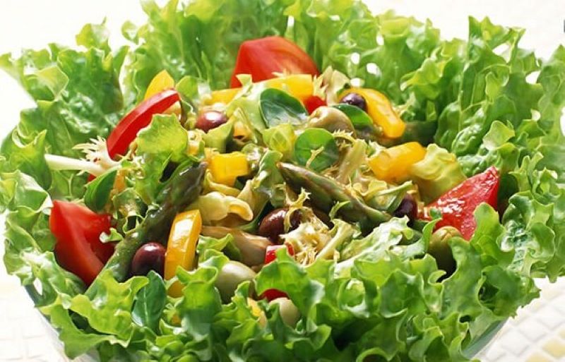 Xà lách xoăn xanh có thể trộn với các loại xà lách khác làm ra món salad thơm ngon